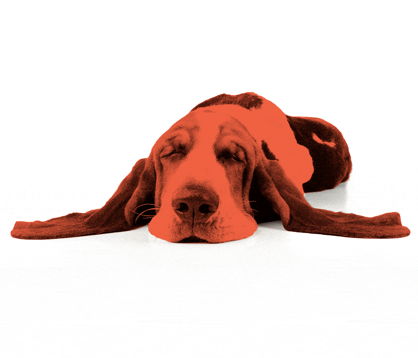 Find My Mobile (1).gif