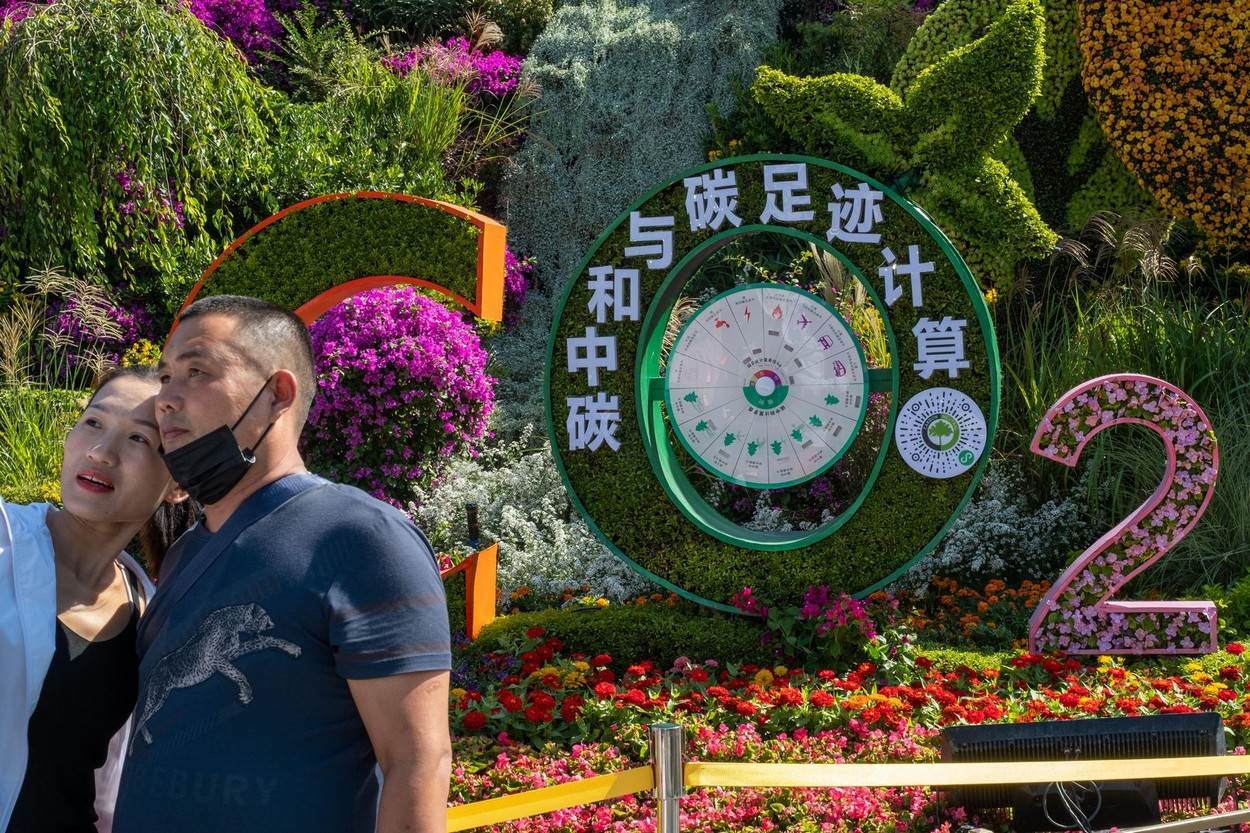 Uglicna neutralnost (1)