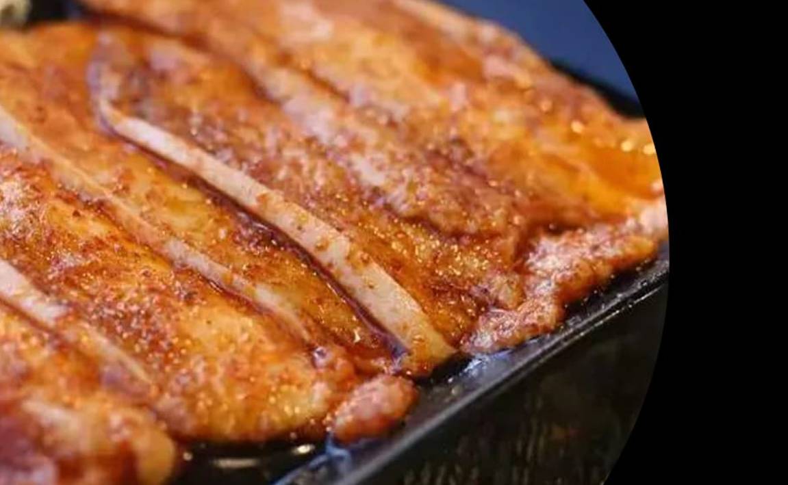 Bežićni termometar za pečenje 2.jpg