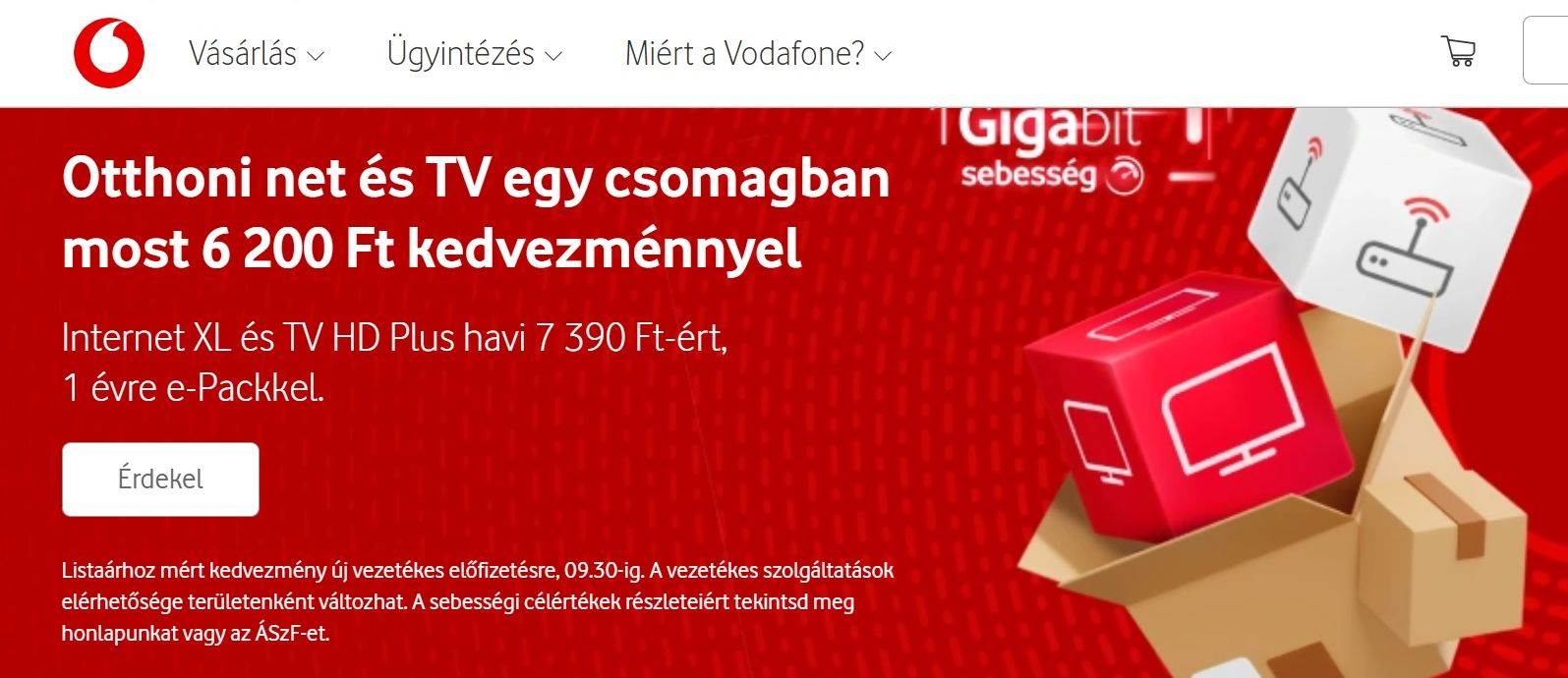 Vodafone Hungary (2).jpg