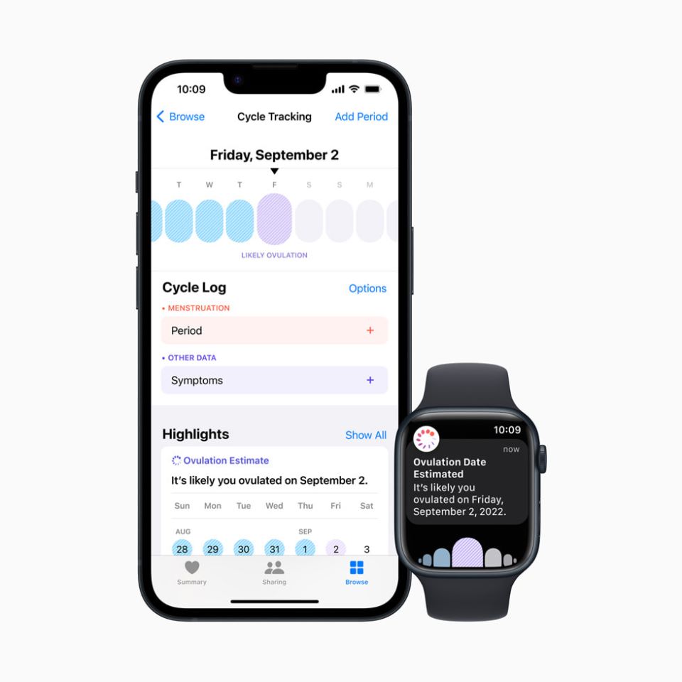 Apple Health (1).jpg