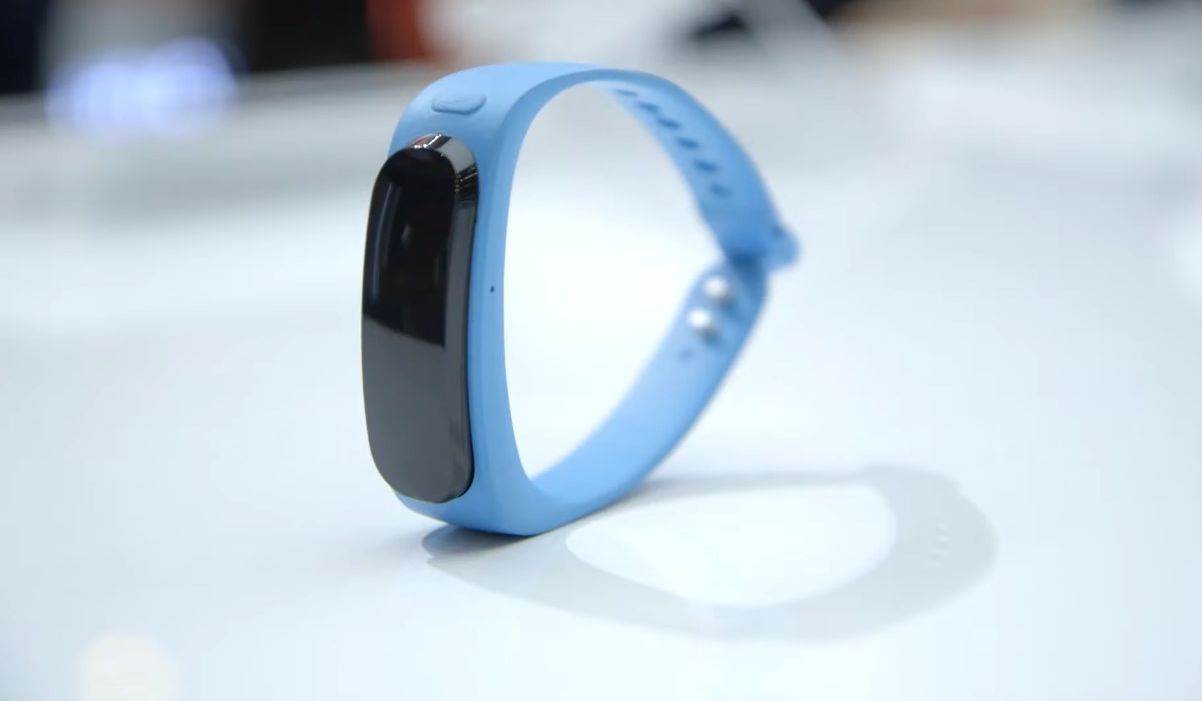 Huawei TalkBand B1.jpg