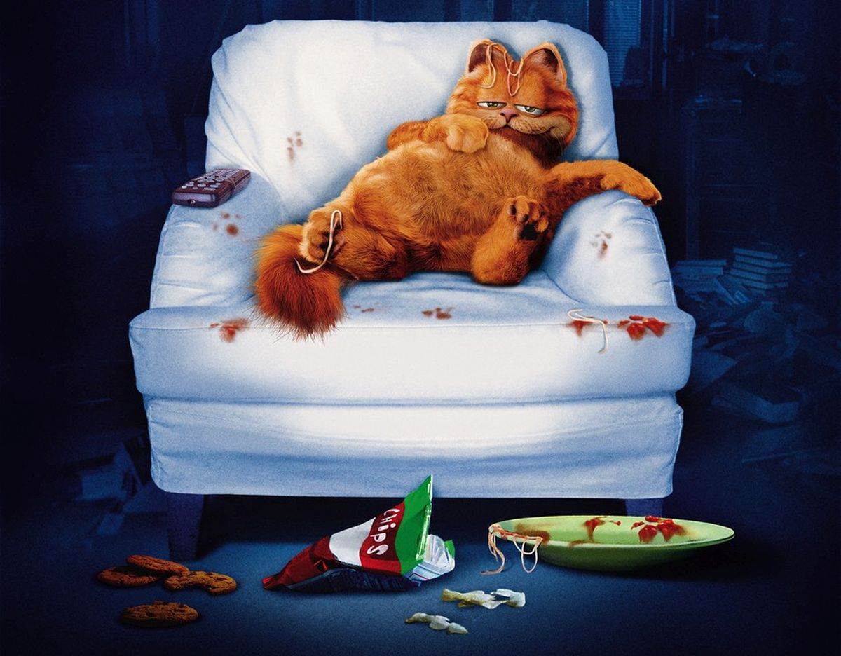 Garfield, debela mačka s vjerojatno najmanje pokreta, upravo slavi svoj 43. rođendan