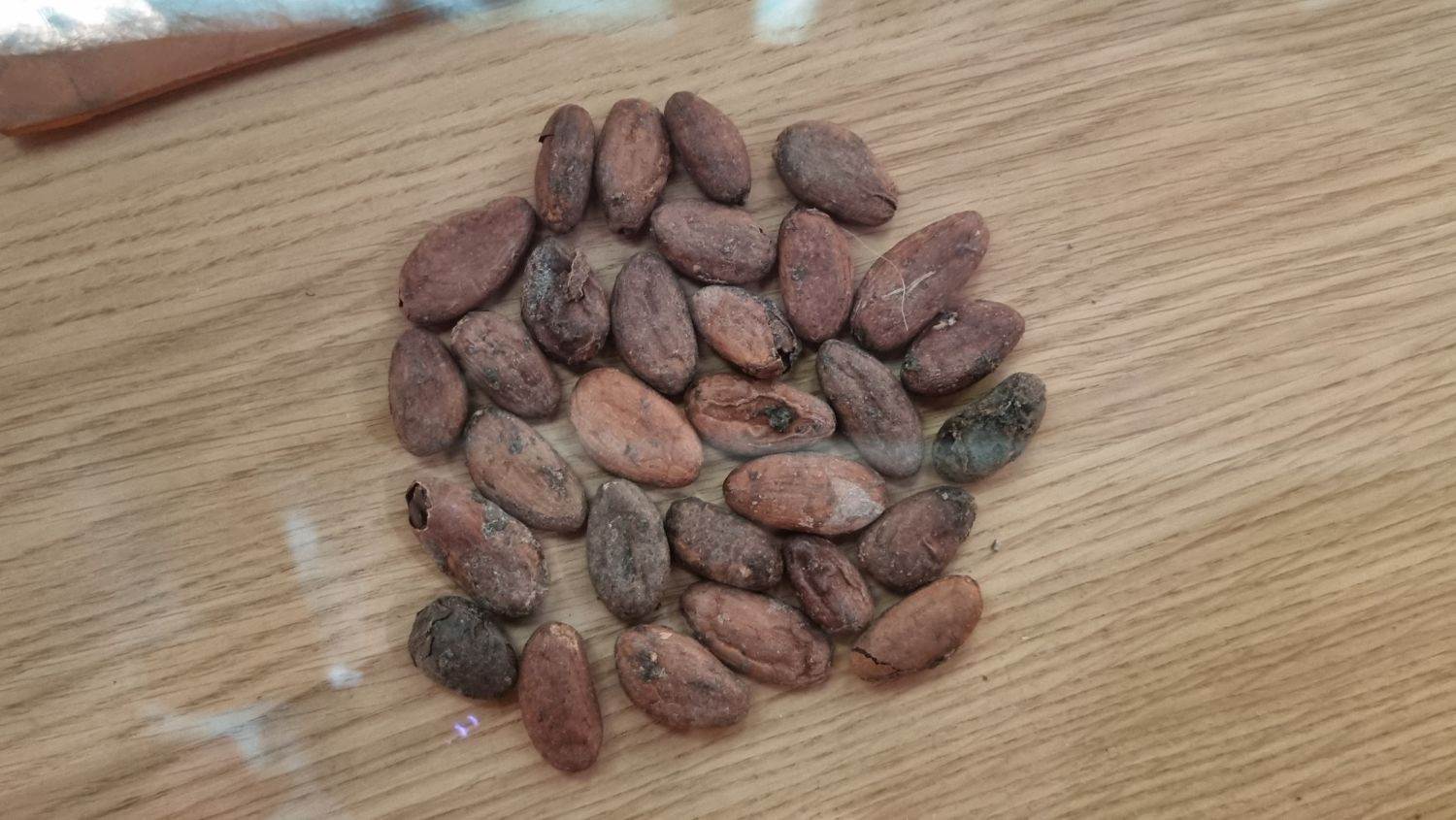 Danas je Svjetski dan čokolade, s nama otkrijte omiljene čoko recepte