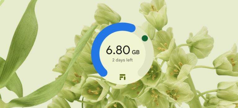 Simple view of your data usage.jpg