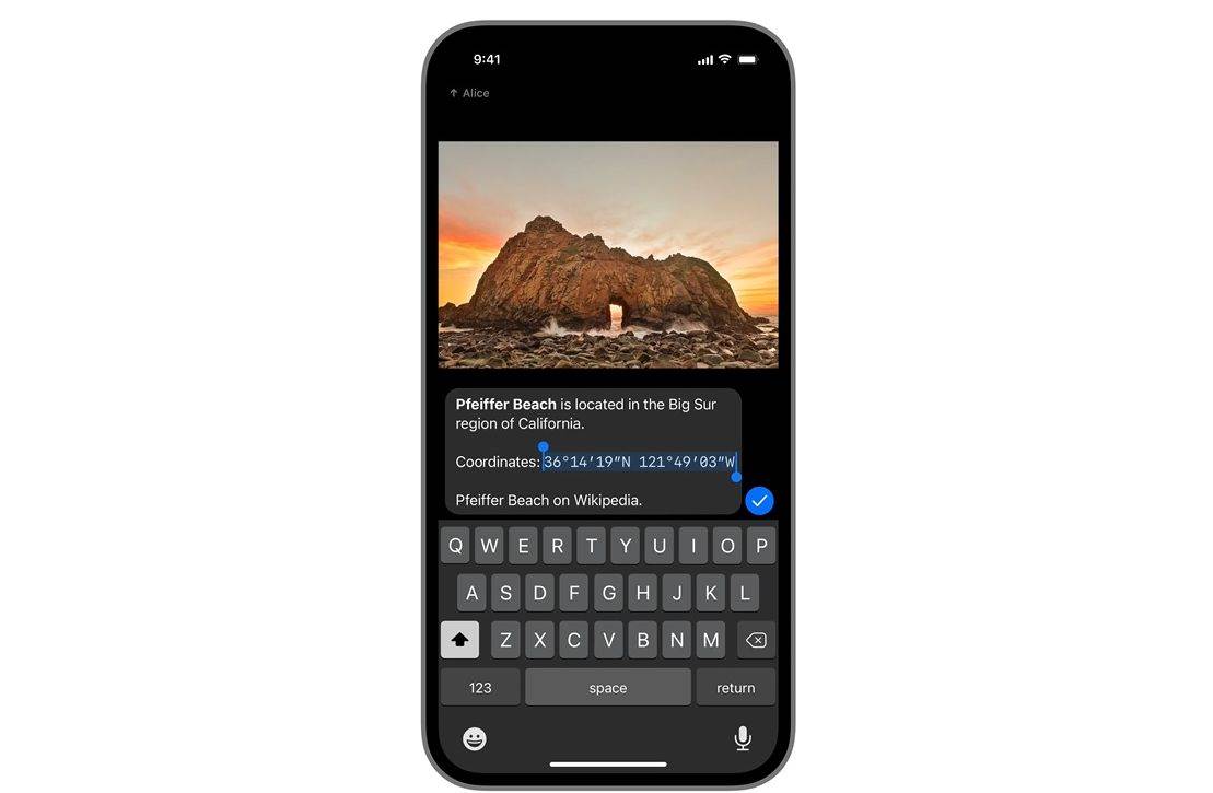 Telgram Format Text in Media Captions on iOS.jpg
