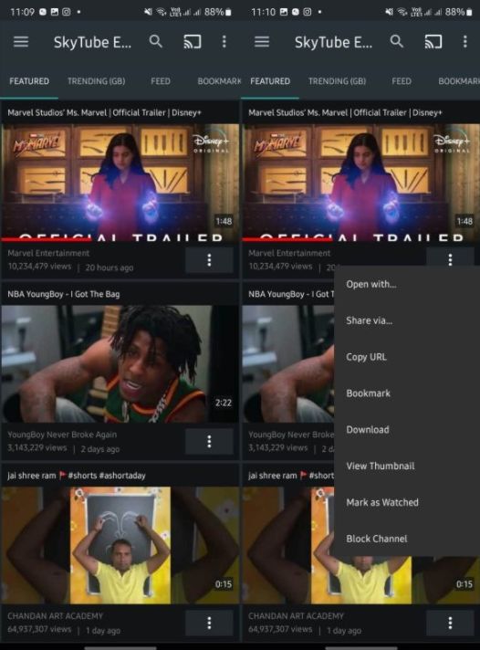 SkyTube 1.jpg