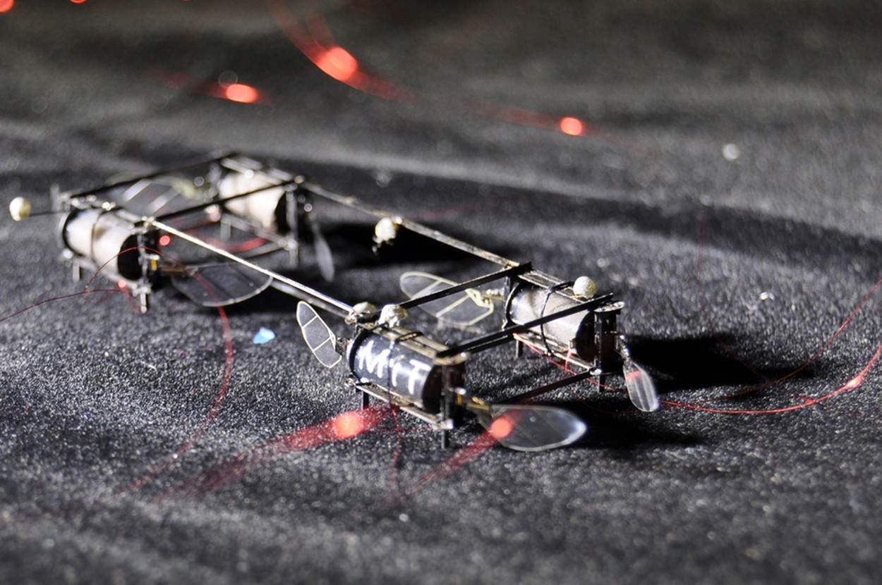 Robot krijesnica (3).jpg