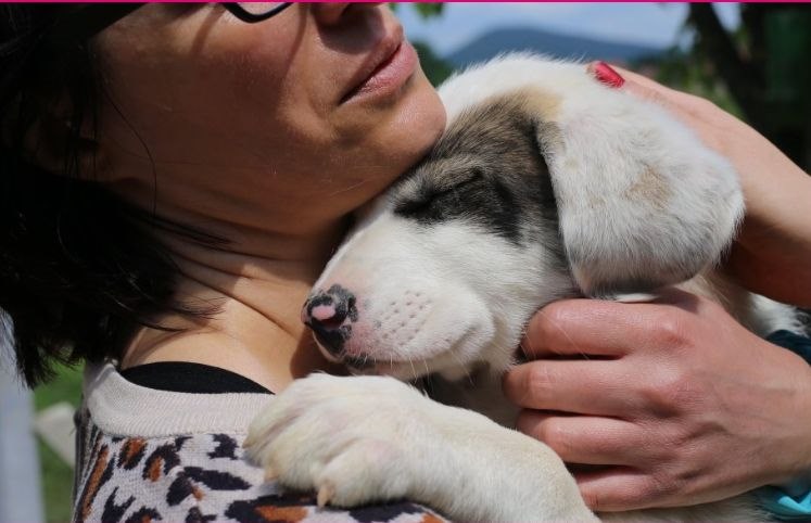 What_We_Value_Hrvatski Telekom (3).jpg