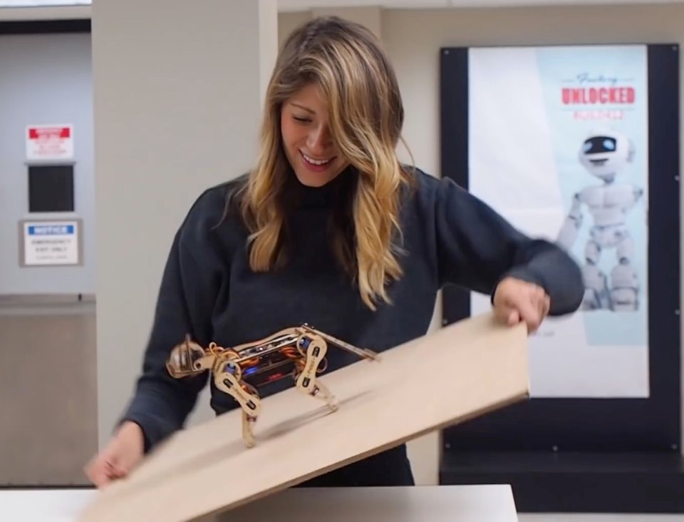 Petoi Nybble (13).jpg