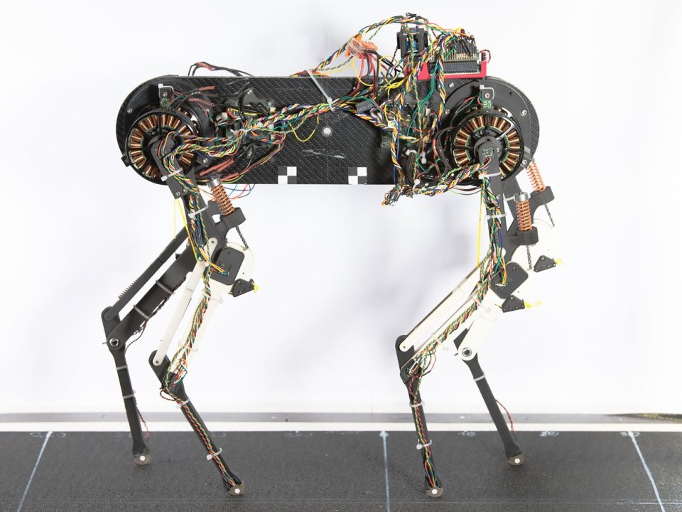 Robot pas Morti (3).jpg