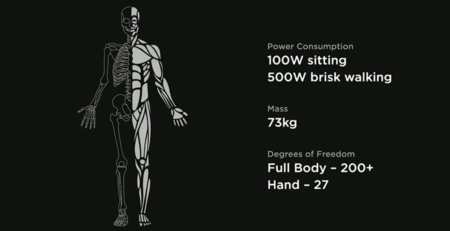 Tesla Optimus (2).jpg