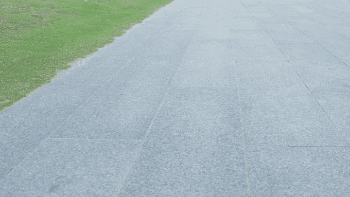 Rollbot (5).gif