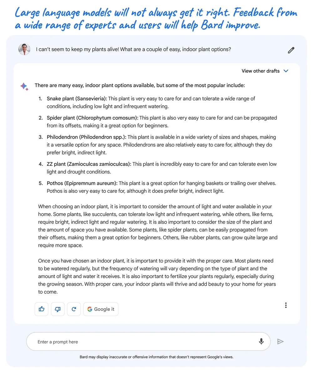 Google Bard (3).jpg
