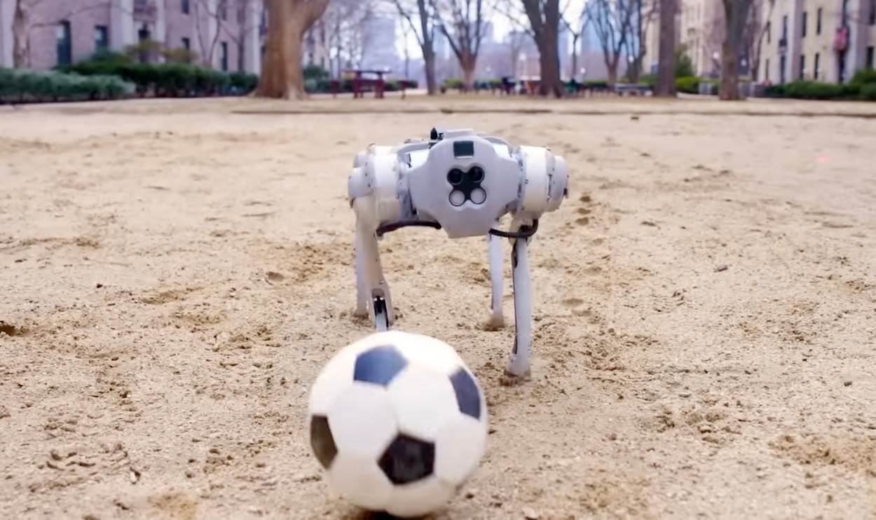 DribbleBot robot (6).jpg