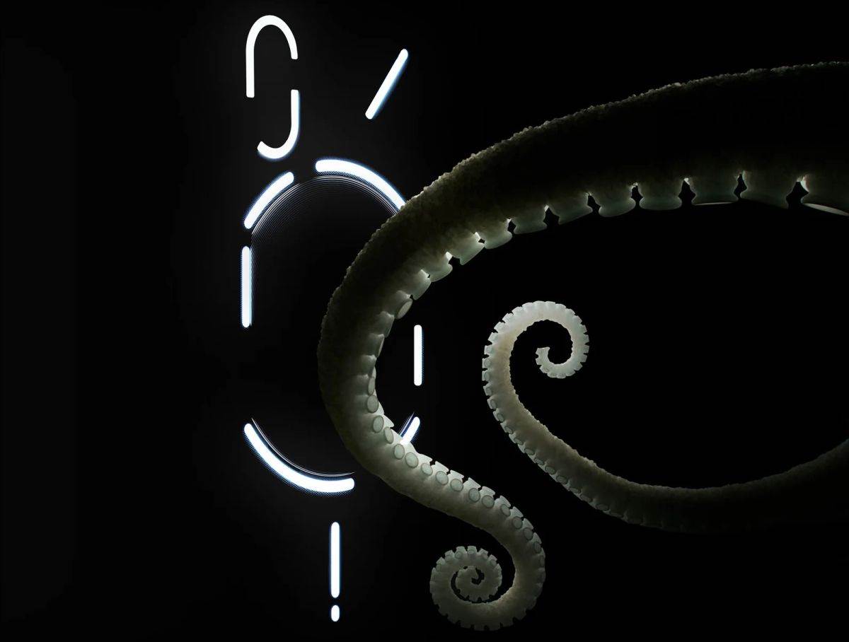 Nothing Phone (2).jpg