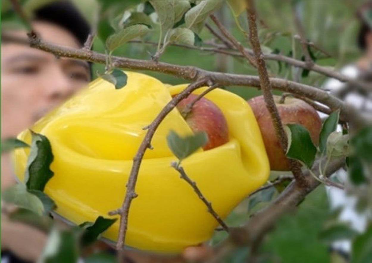 Robotska hvataljka inspirirana cvijećem (3).jpg