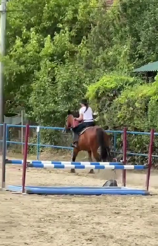 Kći Marka Perkovića Thompsona