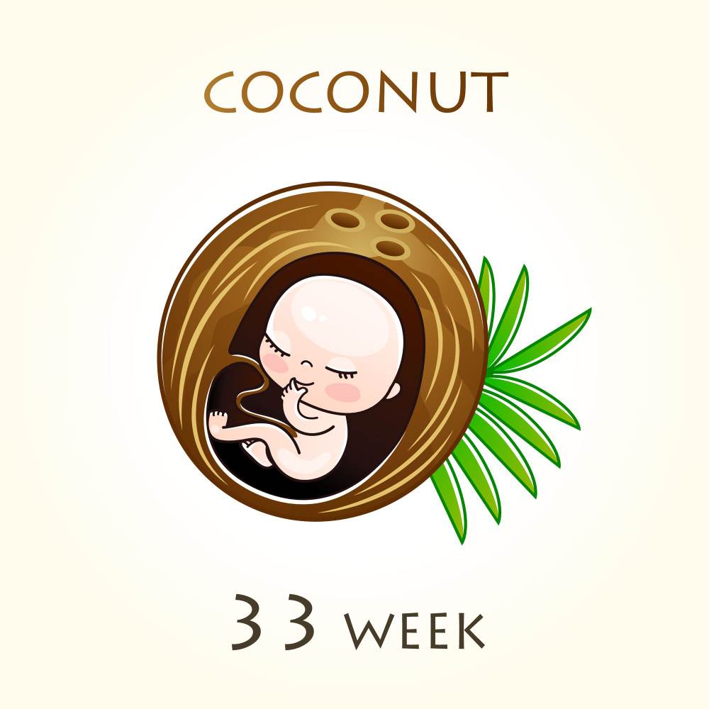 Razvoj i velicina bebe u trbuhu svaki tjedan