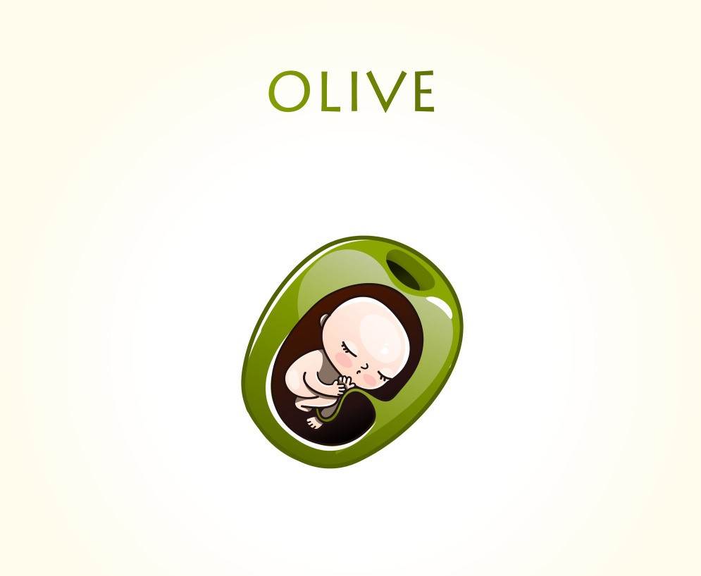 Razvoj i velicina bebe u trbuhu svaki tjedan