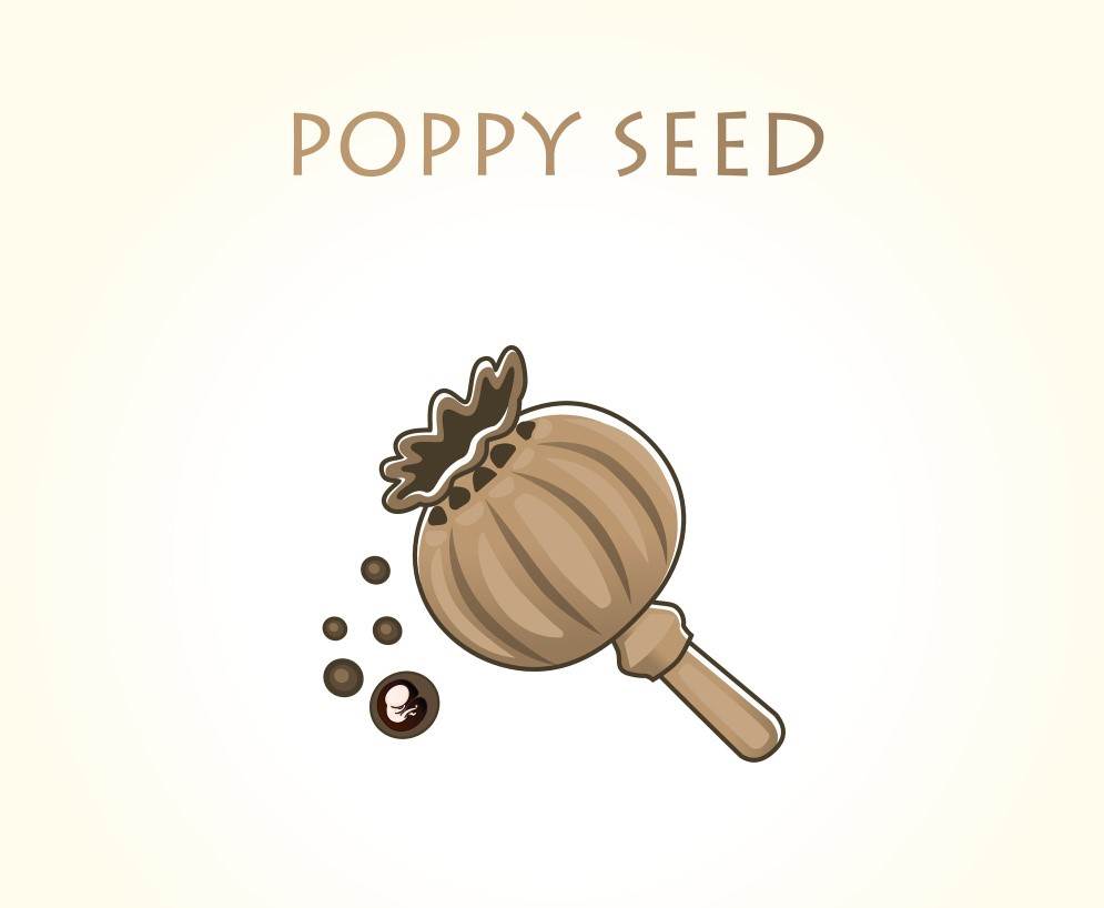 Razvoj i velicina bebe u trbuhu svaki tjedan