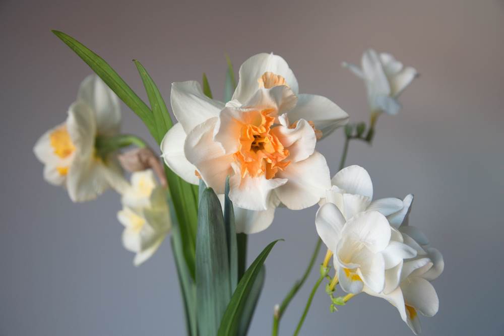 Kakve su bebe rodene u ožujku