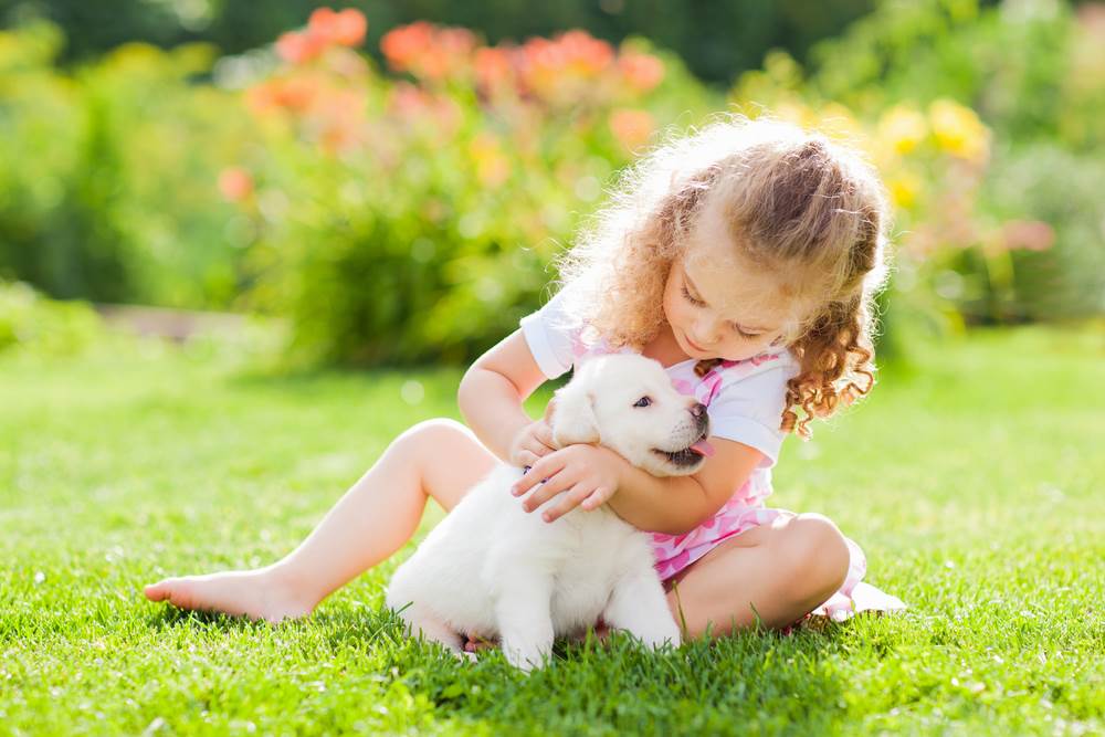 Znacenje imena Marija