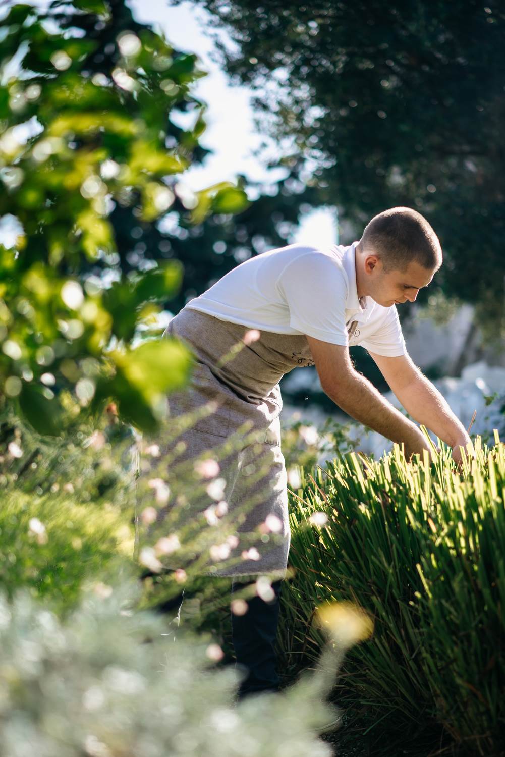 Vodimo vas u impresivni kompleks i oazu luksuza Lopud 1483