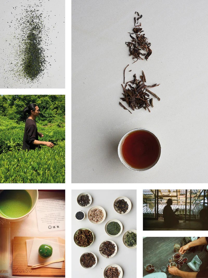 Chef Rene Redzepi nova knjiga Noma in Kyoto