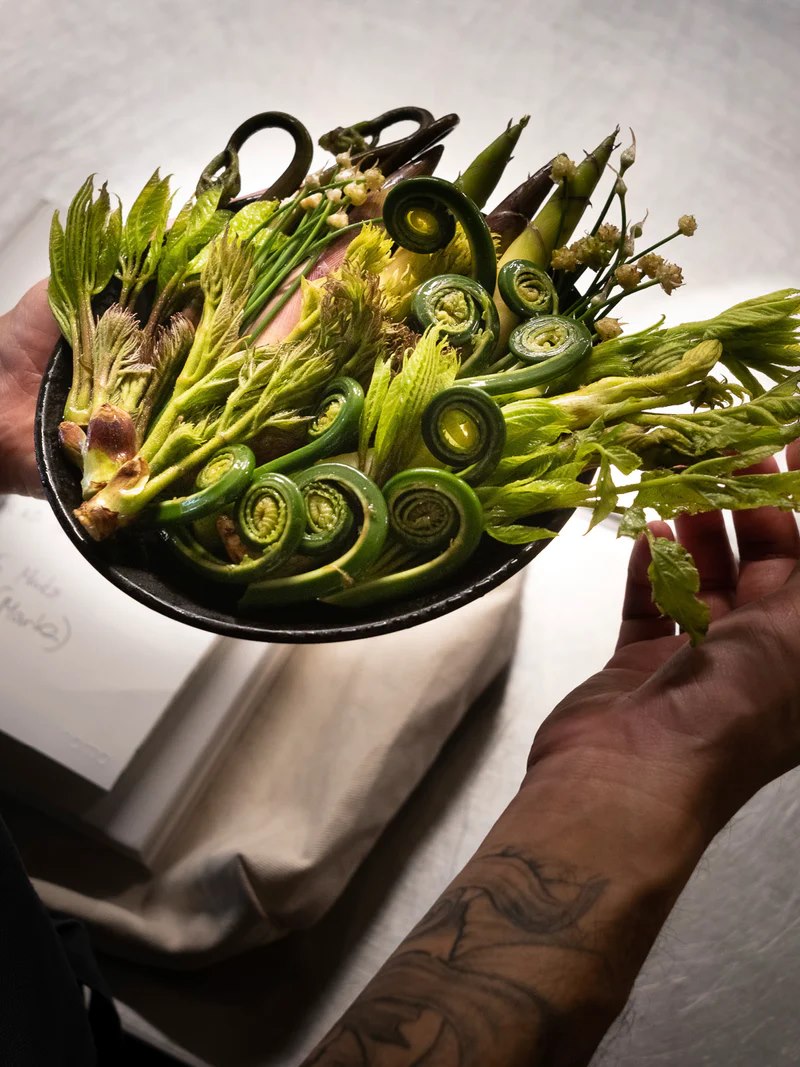 Chef Rene Redzepi nova knjiga Noma in Kyoto