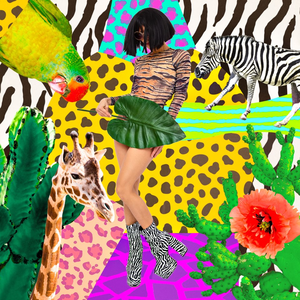 Sunce prelazi u Strijelca 22 studenog 2024