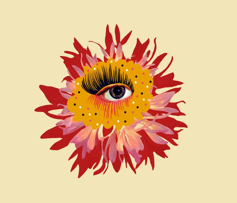 Sunce prelazi u Strijelca 22 studenog 2024