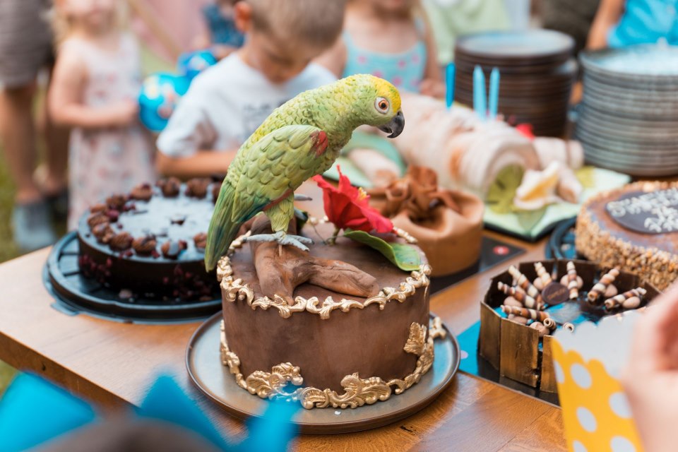 Cubismo i egzotične papige na rođendanu Botanist i Pablos bara
