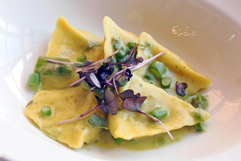 foto Nikola Zoko  (8).jpg