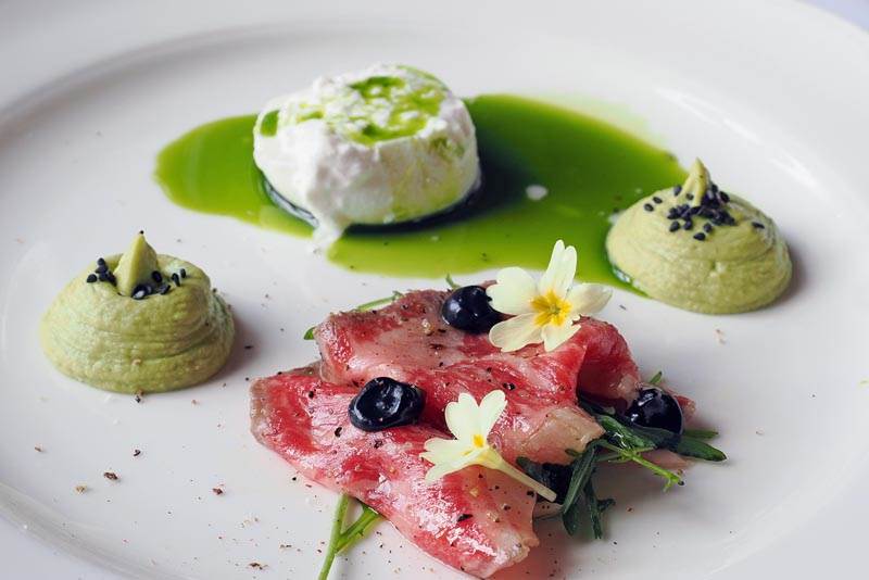 foto Nikola Zoko  (4).jpg